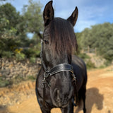 Handcrafted Bitless Sidepull bridle