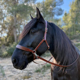 Handcrafted Bitless Sidepull bridle