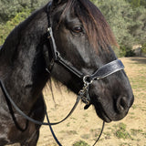 Handcrafted Bitless Sidepull bridle