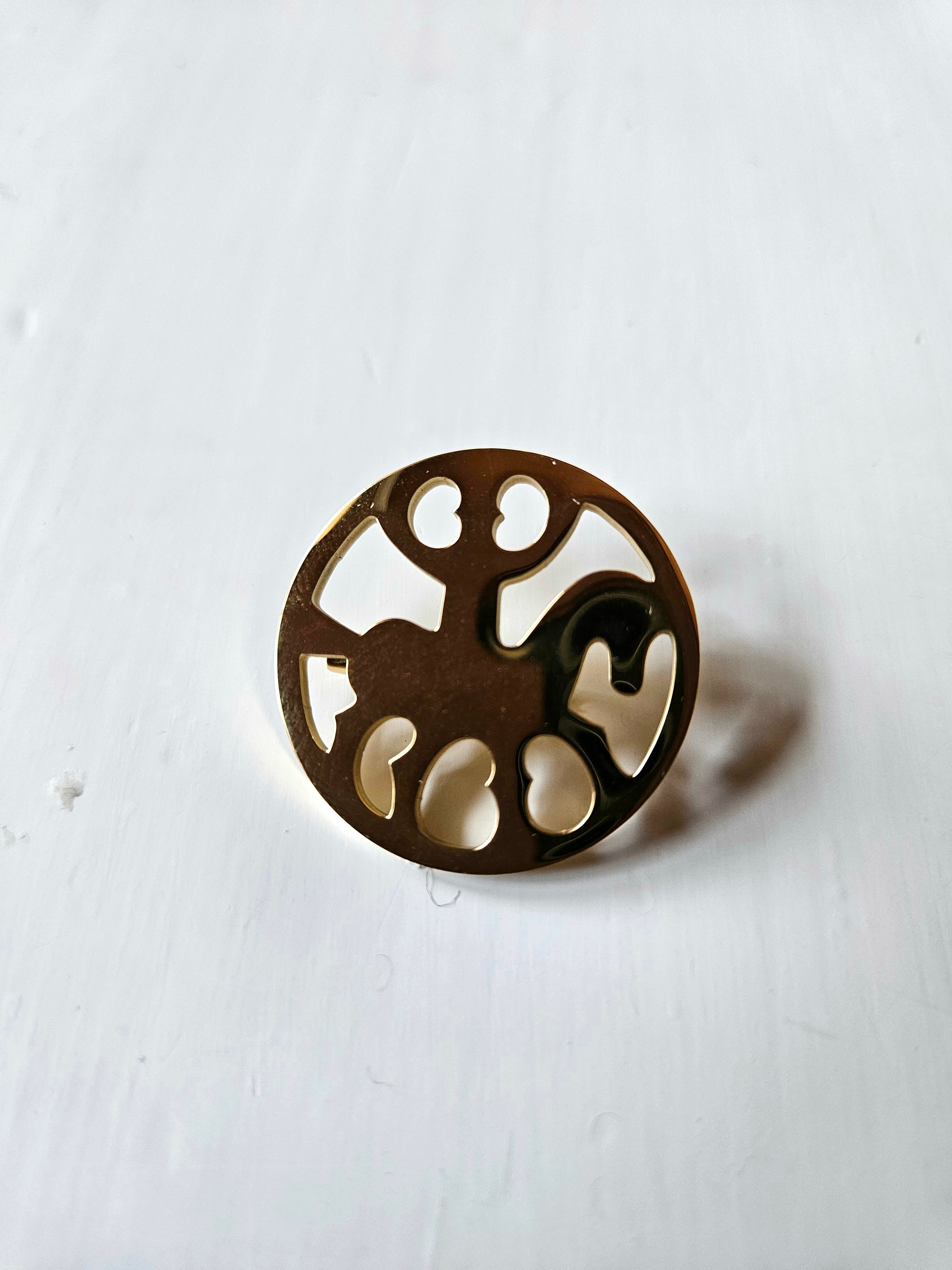 NIHF Brooch