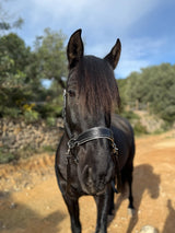 Handcrafted Bitless Sidepull bridle