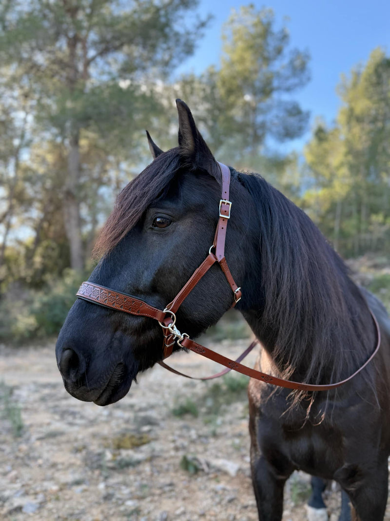 Handcrafted Bitless Sidepull bridle