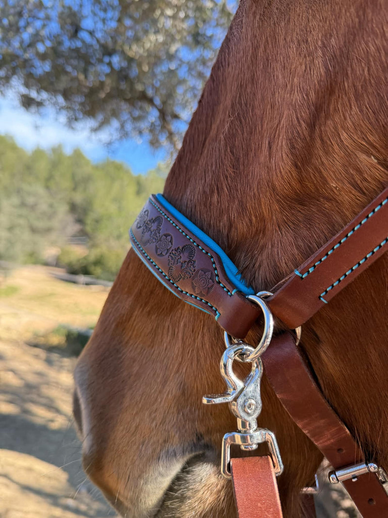 Handcrafted Bitless Sidepull bridle