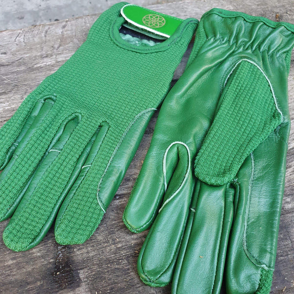 BoH Rider's Gloves Green Pea - The Bohemian Horse