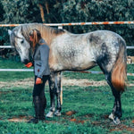 Rider's Jacket - The Bohemian Horse